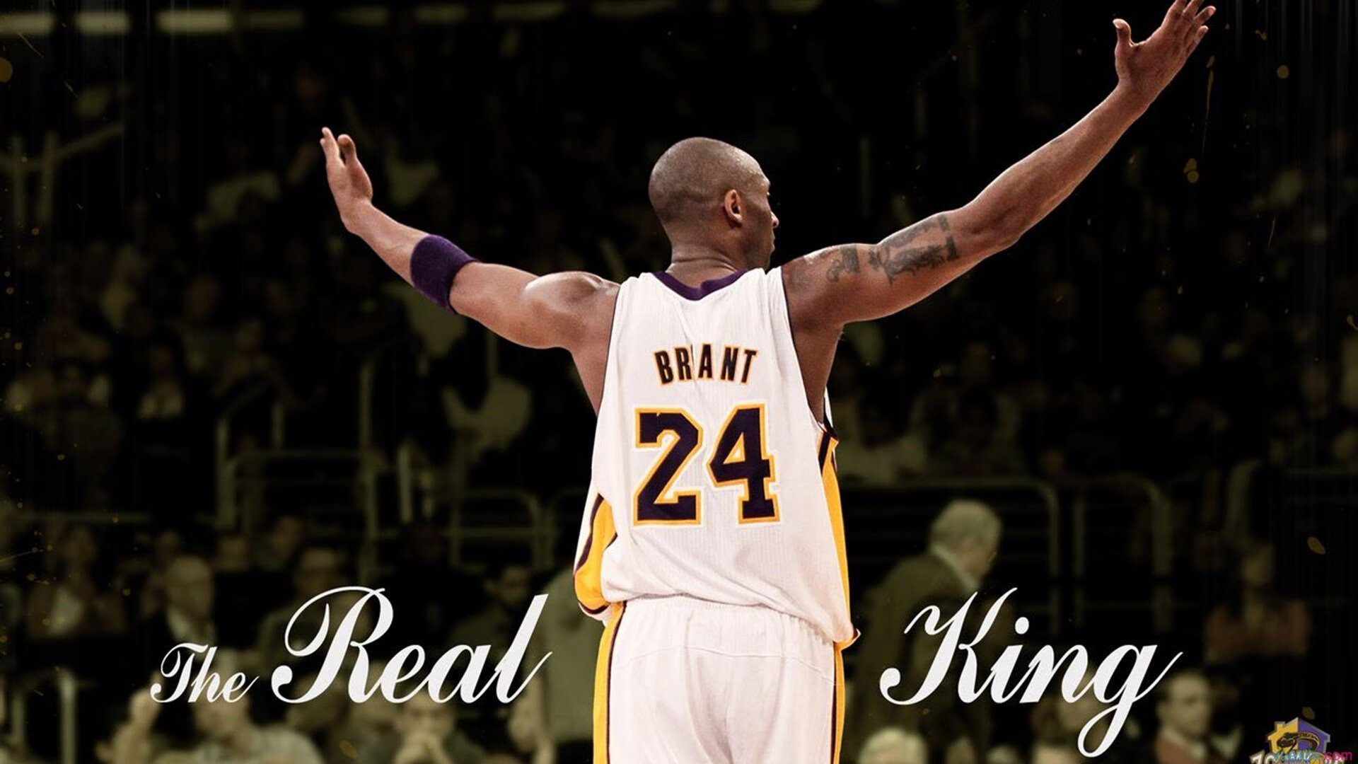 霍勒迪在焦点战证明自己，上海队淘汰赛过关老鹰